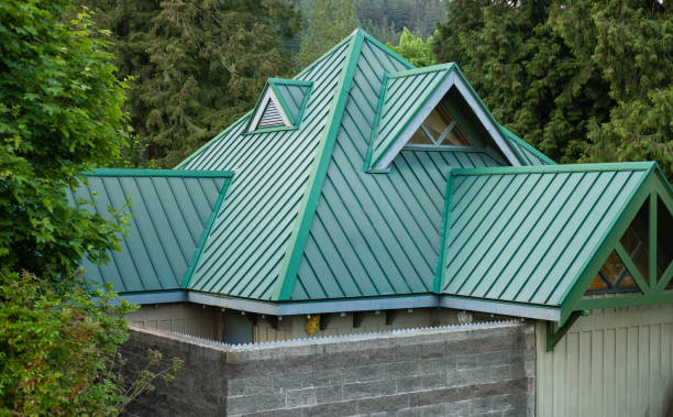 Best Roof Moss and Algae Removal  in Fairmont City, IL